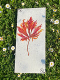 "L'Ascension"