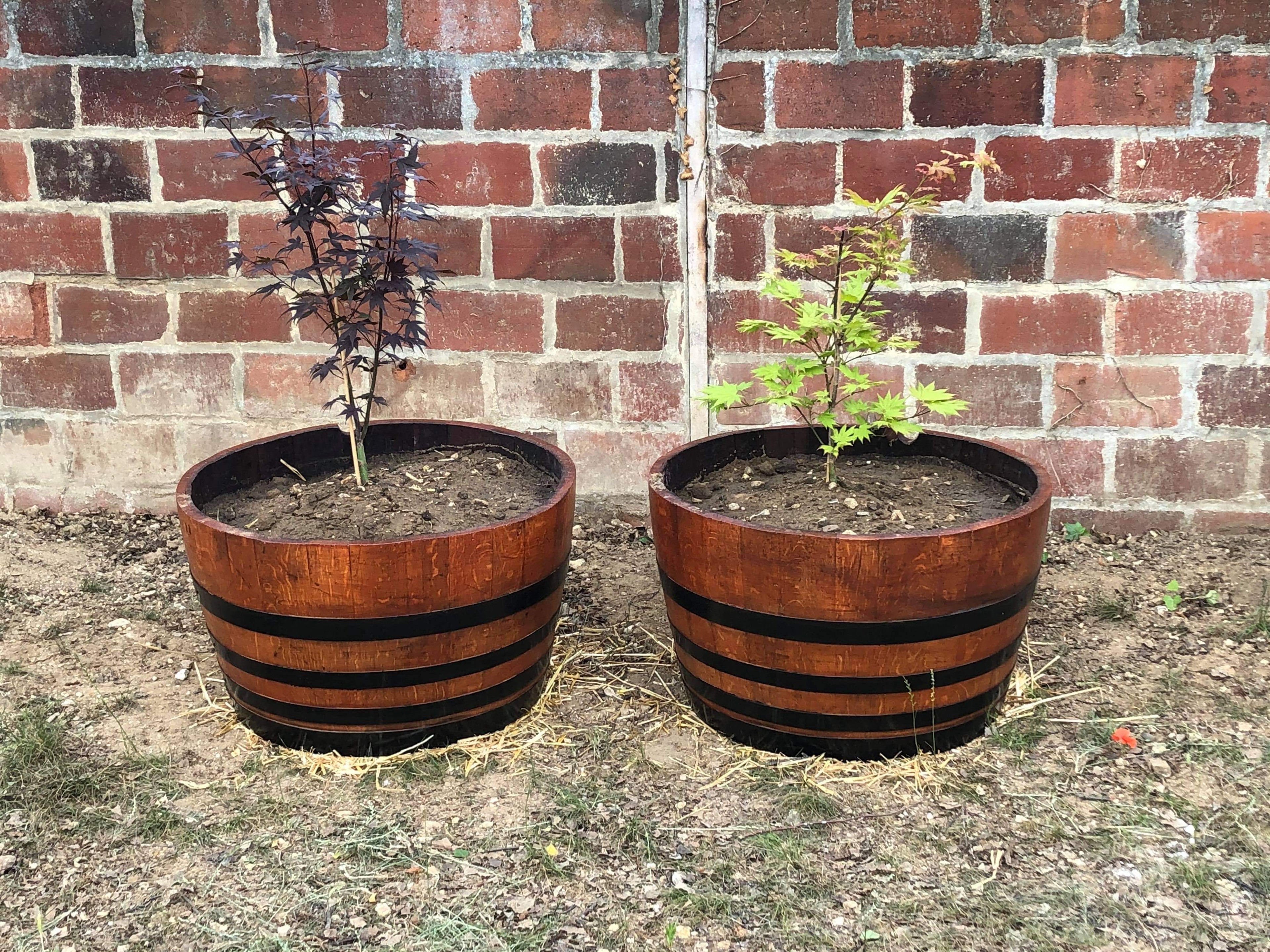 Jardinière Demi-Tonneau en Chêne