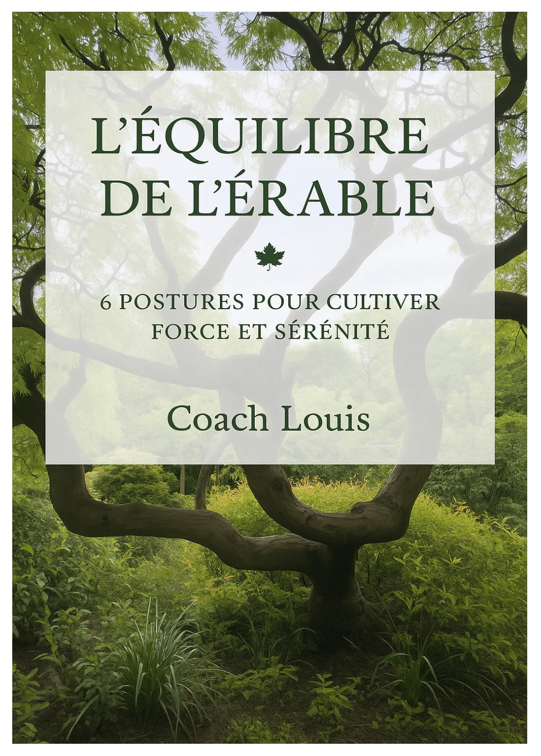 Ebook "L'ÉQUILIBRE DE L'ÉRABLE" Première édition